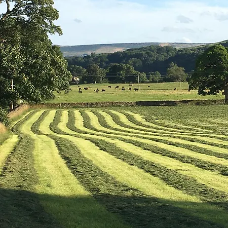 Sweet Briar * Skipton